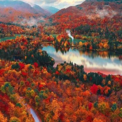 BB贝博平台登录appapp下载