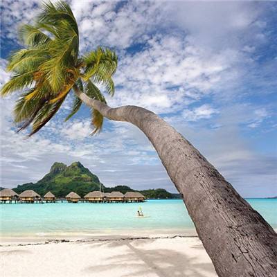 bet韦德官方网站